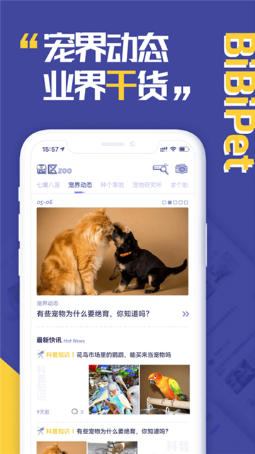 bibipet宠物社giao