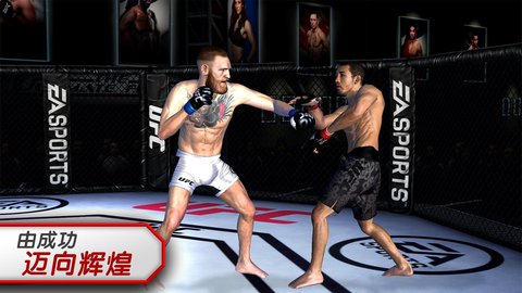 终极格斗冠军赛Game mobile