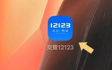 giao管12123拍照功能在哪