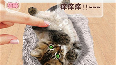 猫猫Ngôn ngữ转换器
