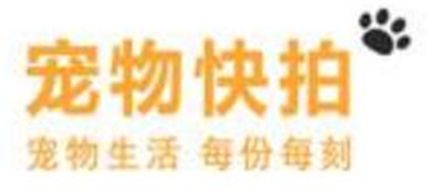 宠友社giao