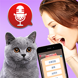 猫猫Ngôn ngữ转换器