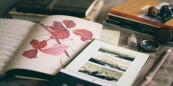 可以离线缓存小说的Ứng dụng